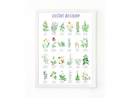 PLAKAT BYLINY SK web