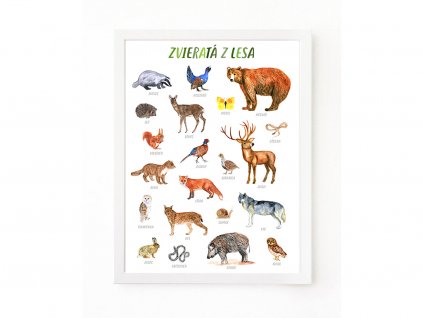 PLAKAT ZVIERATA Z LESA SK web