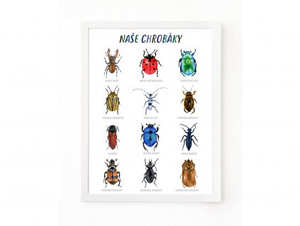 PLAKAT BROUCI SK web