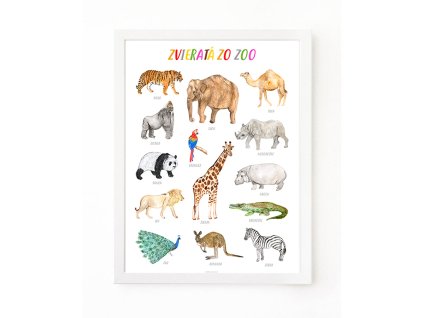 PLAKAT ZOO SK web