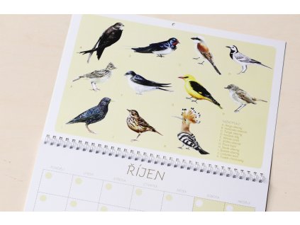 kalendar rijen 02