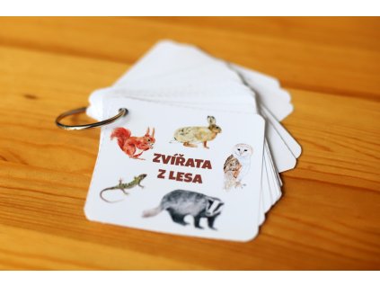 foto do kapsy lesni zvirata (2)
