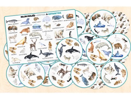 najdi dvojce arktida a antarktida kolaz 01