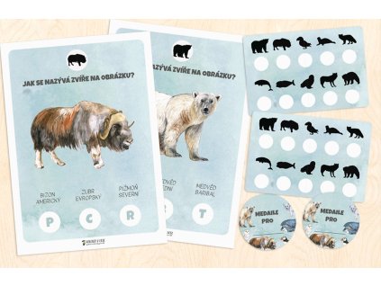 stezka arktida kolaz 02