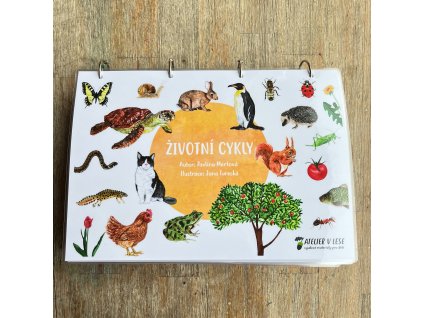 Zivotni cykly kniha 14