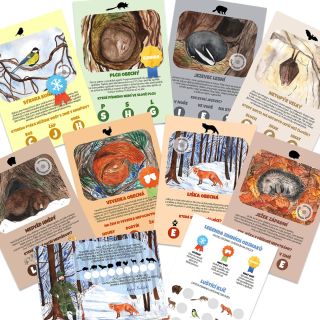 🦊 ZVÍŘATA V ZIMĚ: TAJEMNÁ VÝPRAVA ZA OTUŽILCI I VELKÝMI SPÁČI! 🌲 Jak to v lese vypadá, když všechno přikryje sníh? Stezka...