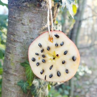 🍪 🍎 Vyrobte s dětmi koláčky pro ptáčky! Je to strašně jednoduché a ptáčkům to teď udělá obrovskou radost ❤️ Stačí nám...