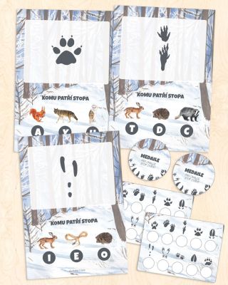 🌲 Kdo tudy prošel? Proměňte procházku v detektivní dobrodružství! Všimli jste si, kolik příběhů je napsáno v lesní zemi...