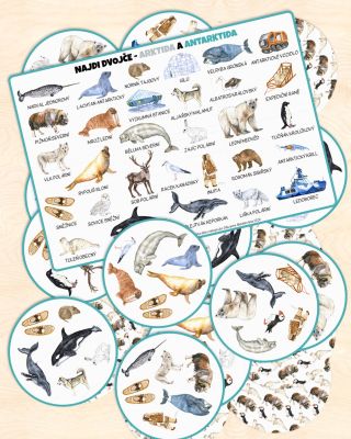 ❄️ Nová postřehová hra: NAJDI DOVJČE: Arktida a Antarktida 🐋 Máme pro děti novinku! Postřehová hra obsahuje 13 karet s...
