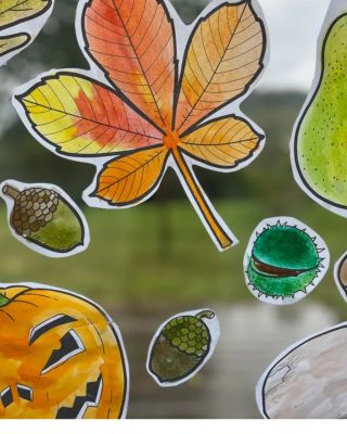 Podzimní výzdoba, kterou si děti samy dotvoří 🍂🎨 Sada obsahuje 12 podzimních motivů na A4, které mohou děti vybarvit...