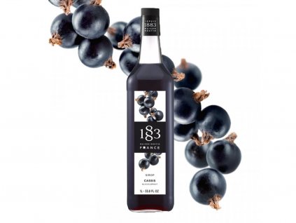 ROUTIN Sirup Čierna ríbezľa - Black Currant 1l