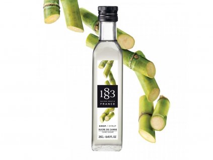 1883 ROUTIN Sirup Trstinový - Simple  250ml @