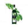 ROUTIN Sirup Mäta zelená -Green Mint 1l