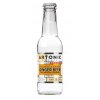 ARTONIC GINGER BEER 200ml