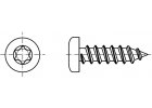 TORX pozink ZNB