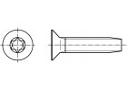 DIN 7500MT Šroub závitotvorný se zápustnou hlavou a drážkou TORX