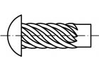 ČSN 022195 Hřeb šroubový zarážecí s půlkulatou hlavou