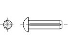 DIN 1476 Hřeb rýhovaný s půlkulatou hlavou DIN1476