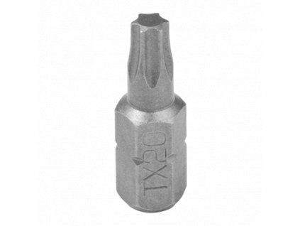 BIT TORX T20 DMX