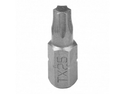 BIT TORX T25 DMX