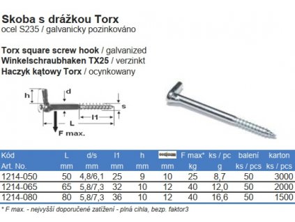 Skoba s drážkou TORX Zn