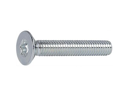 Šroub zápustná hlava ISO14581 na TORX , 8.8 ocel pozink
