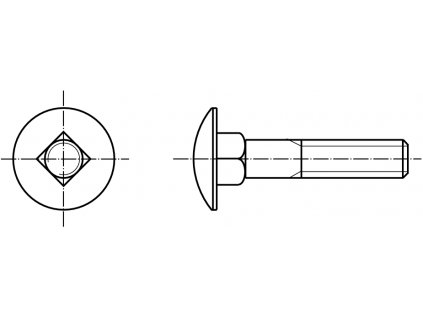 DIN 603 vratový šroub nerez A4