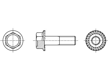 DIN 6921 šroub šestihranná hlava s límcem ozubeným 8.8 pozink