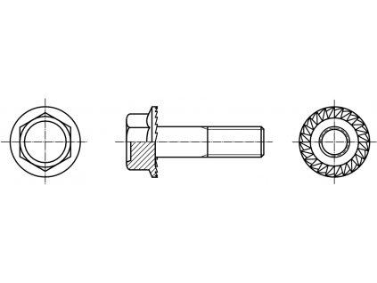 DIN 6921 šroub šestihranná hlava s límcem ozubeným 8.8 pozink