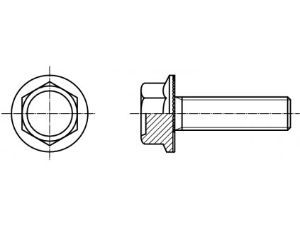 RIPP šroub pojistný šestihranná hlava černý jemné stoupání kl.100