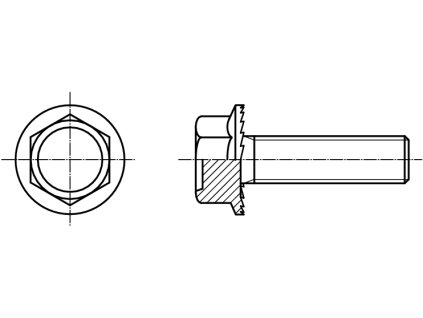 TENSILOCK šroub pojistný šestihranná hlava pozink kl.90