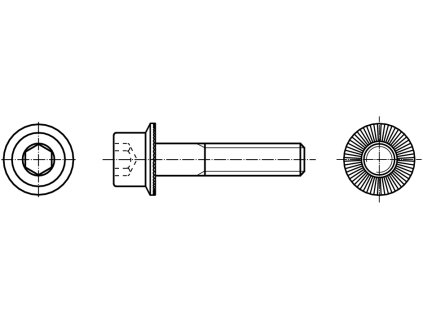 RIPP šroub pojistný INBUS (IMBUS) pozink kl.100