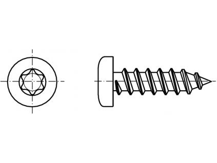 DIN 7981C šroub do plechu s půlkulatou hlavou TORX (ostrá špička) nerez A2