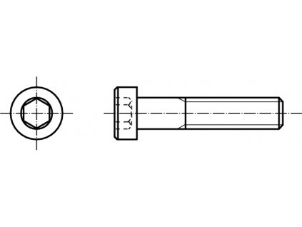 DIN 7984 INBUS (IMBUS) šroub nízká válcová hlava vnitřní šestihran nerez A4