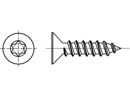 DIN 7982C šroub do plechu se zápustnou hlavou TORX (ostrá špička) nerez A2