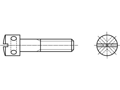 DIN 404 plombovací šroub s válcovou hlavou, průběžnou drážkou a otvory v hlavě pozink