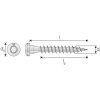 SIMPSON CSA vrut TORX - balení po 250 ks, pozink