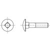 DIN 603 vratový šroub nerez A4