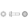 DIN 6921 šroub šestihranná hlava s límcem ozubeným nerez A2