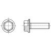 RIPP šroub pojistný šestihranná hlava pozink kl.100