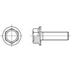 TENSILOCK šroub pojistný šestihranná hlava pozink kl.90