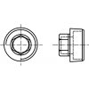 DIN 909 zátka s vnějším šestihranem a trubkovým závitem R černá
