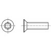 DIN 7991 INBUS (IMBUS) šroub zapuštěná hlava TORX 8.8 pozink