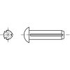 DIN 1476 Hřeb rýhovaný s půlkulatou hlavou pozink