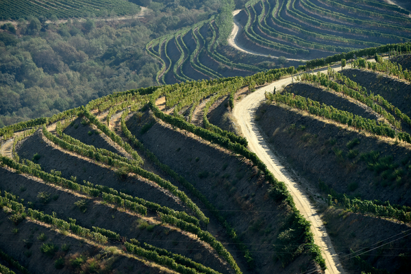 DOURO - NEJPRESTIŽNĚJŠÍ REGION PORTUGALSKÉHO VINAŘSTVÍ