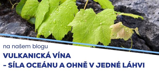 na našem blogu