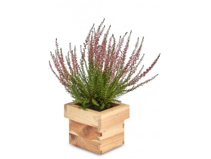 Quadratischer Pflanzkübel aus Holz 14 x 14 x 12 cm