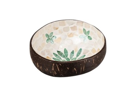 Kokosnussschale mit grünem Blatt