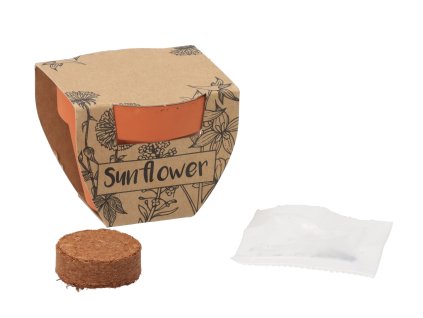 Kleiner Blumentopf mit Sonnenblumen-Samen