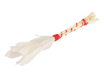 Pinsel aus Gänsefedern